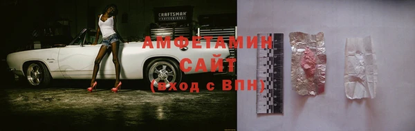 прущие грибы Богданович