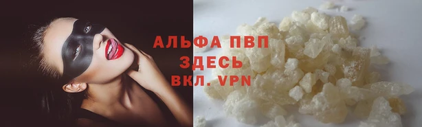мдпв Бронницы