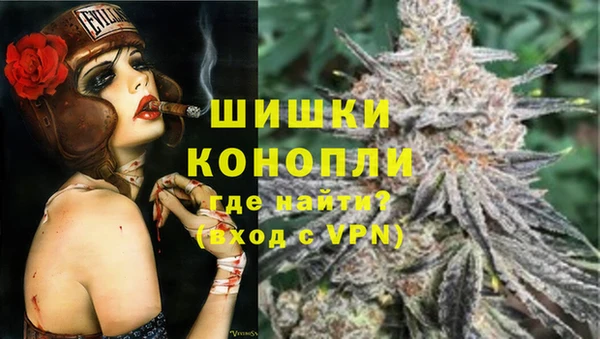 мдпв Бронницы