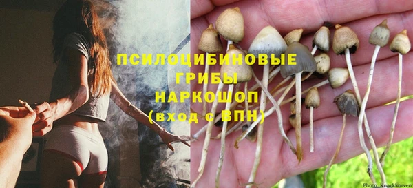 мдпв Бронницы