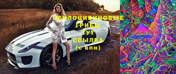 винт Бугульма