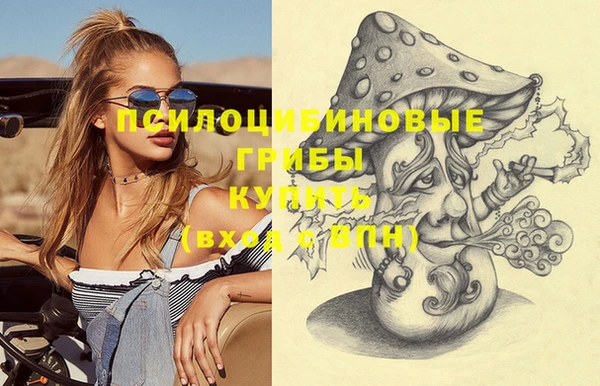 винт Бугульма