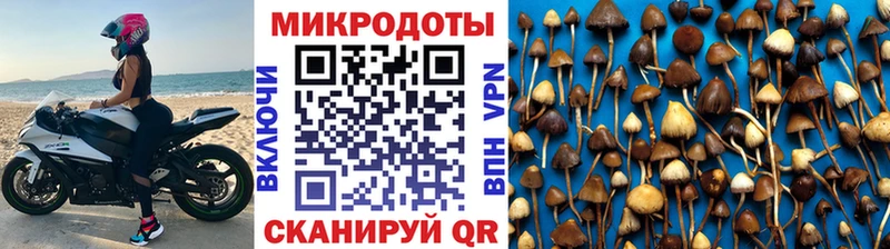 Галлюциногенные грибы GOLDEN TEACHER  мега зеркало  Любань 